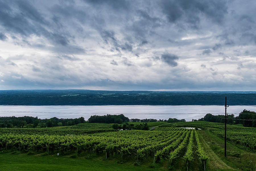 Wine Photograph - Clouds Over Seneca Lake Vineyard by Stuart Litoff