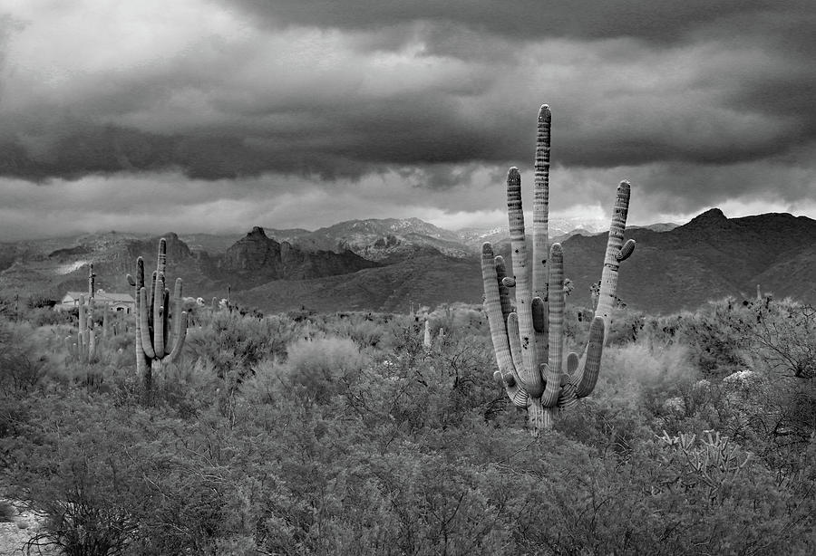 Clouds Over the Tucson Mountains B W Photograph by David T Wilkinson