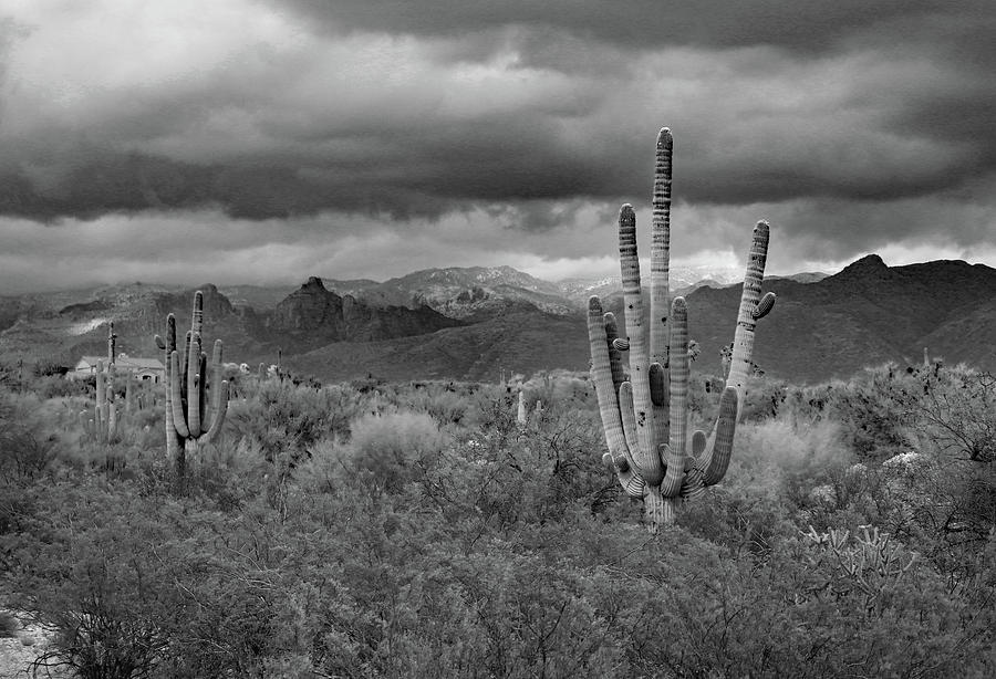 Clouds Over the Tucson Mountains B W Photograph by David T Wilkinson ...