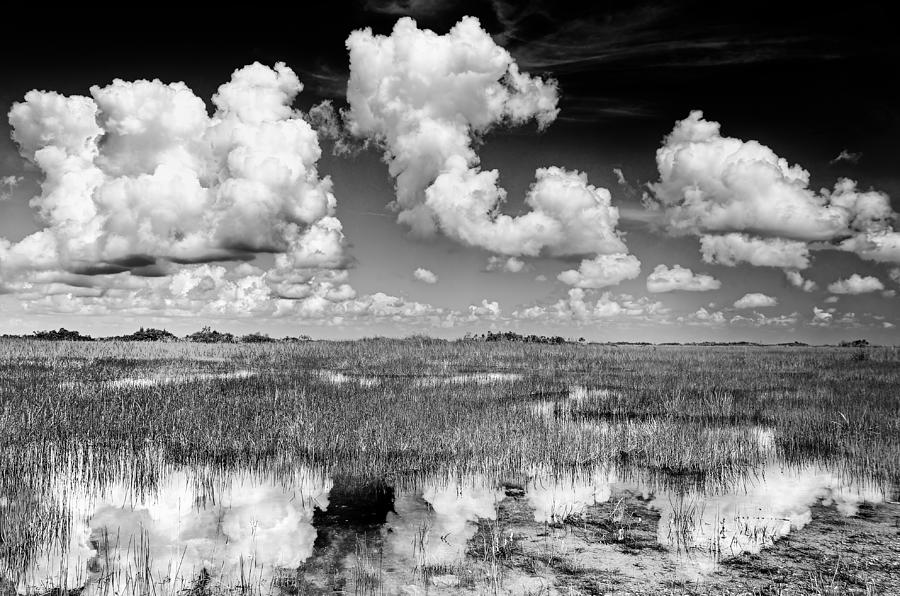 Clouds Reflection Photograph by Rudy Umans