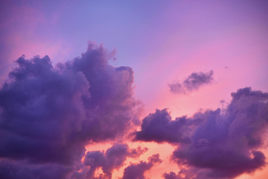 Cloudscape Pinks Photograph by Laura Fasulo