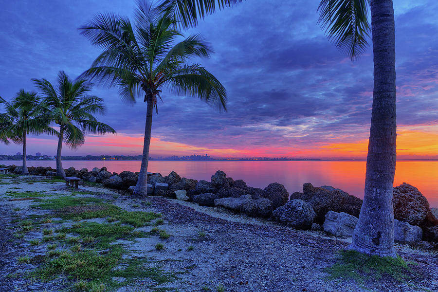 Cloudy Dawn at Matheson Hammock Photograph by Claudia Domenig - Fine ...