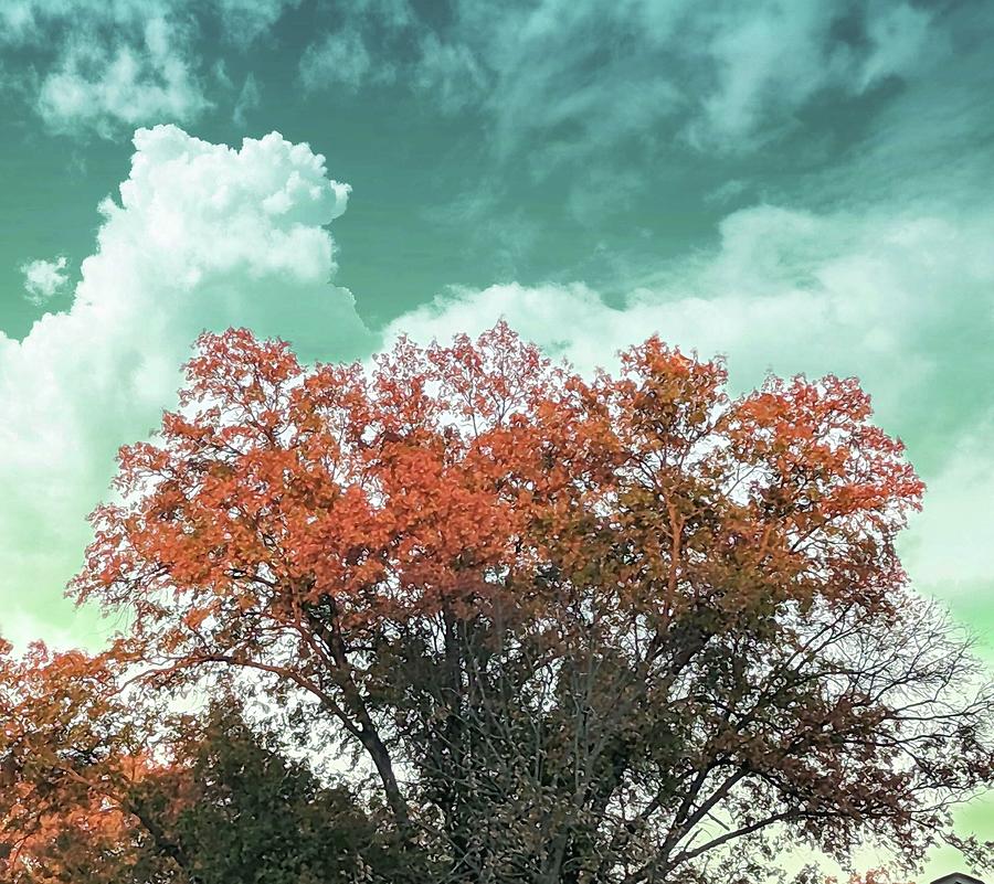 Cloudy fall day Photograph by James Inlow