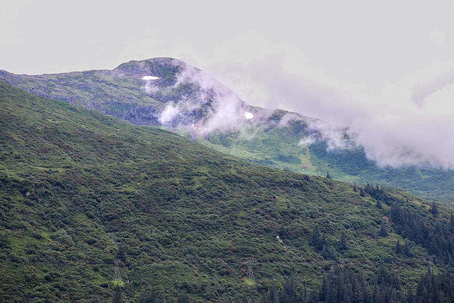 Cloudy Green Juneau Mountain Photograph by Ed Williams