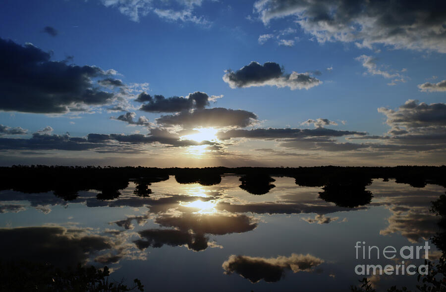 Cloudy Mangrove Sunrise Photograph by Brenda Harle - Fine Art America