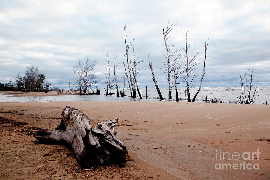 Cloudy Morning at Tawas Point Photograph by Rich S