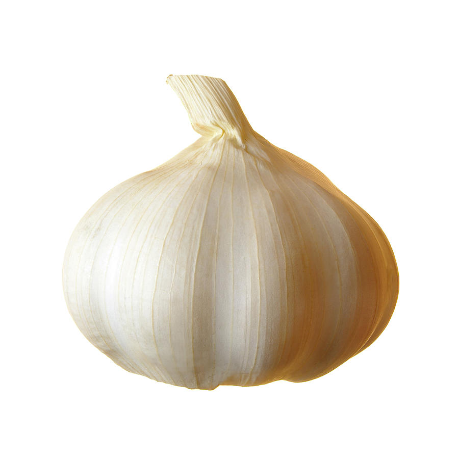 Onion Photograph - Clove Of Garlic by Jim Hughes