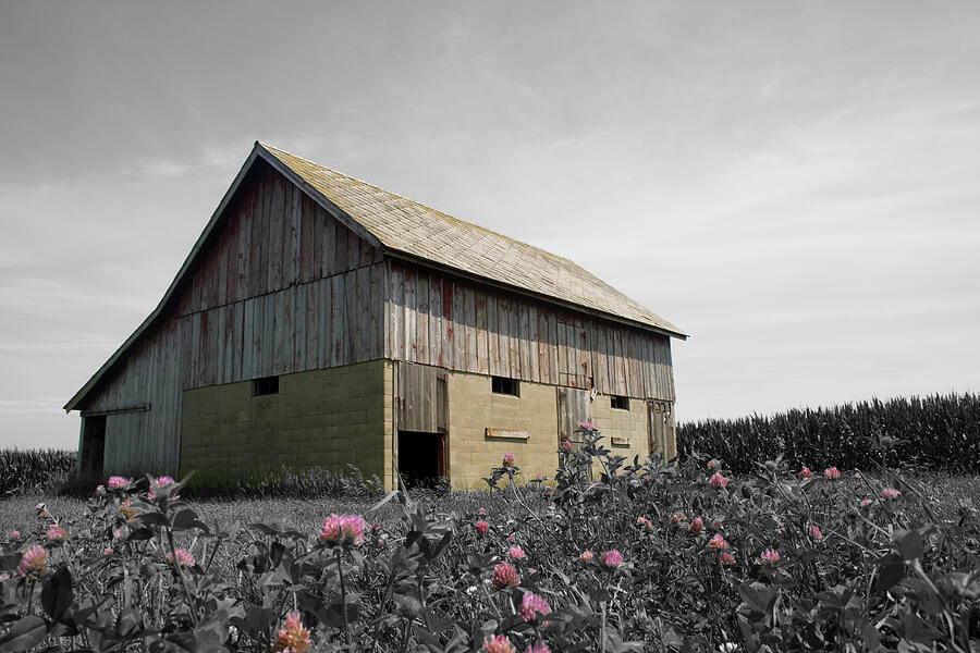 Clover Barn Photograph by Dylan Punke