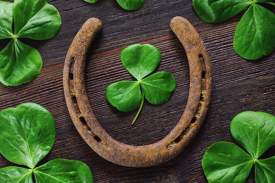 Clovers and a Horseshoe Photograph by Robert Banach