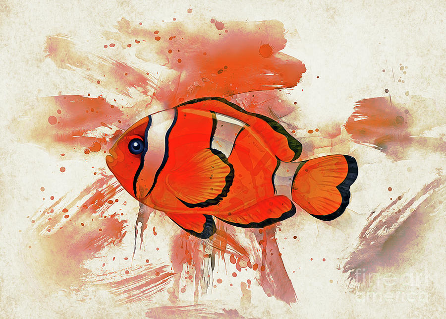 Clown Fish Art Digital Art