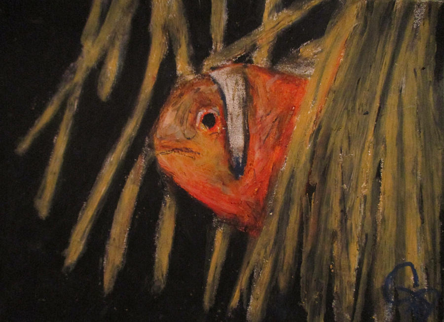 Clown Fishy Painting by Jen Shearer