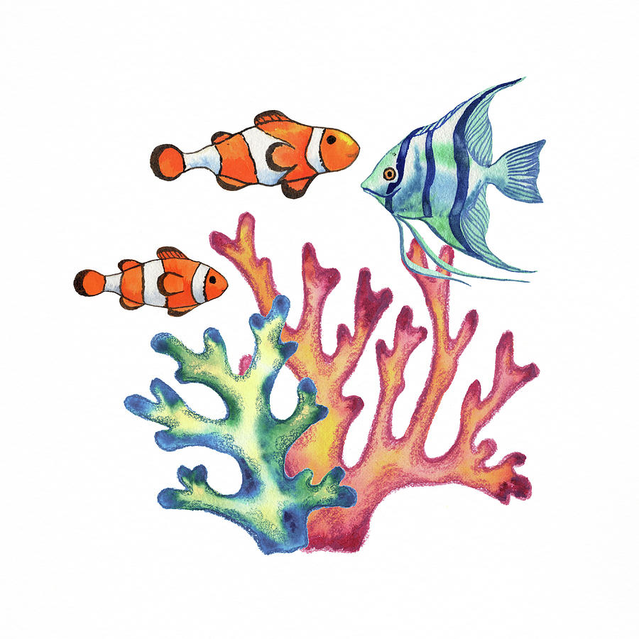 Clownfish And Angelfish in Corals Watercolor  Painting by Irina Sztukowski