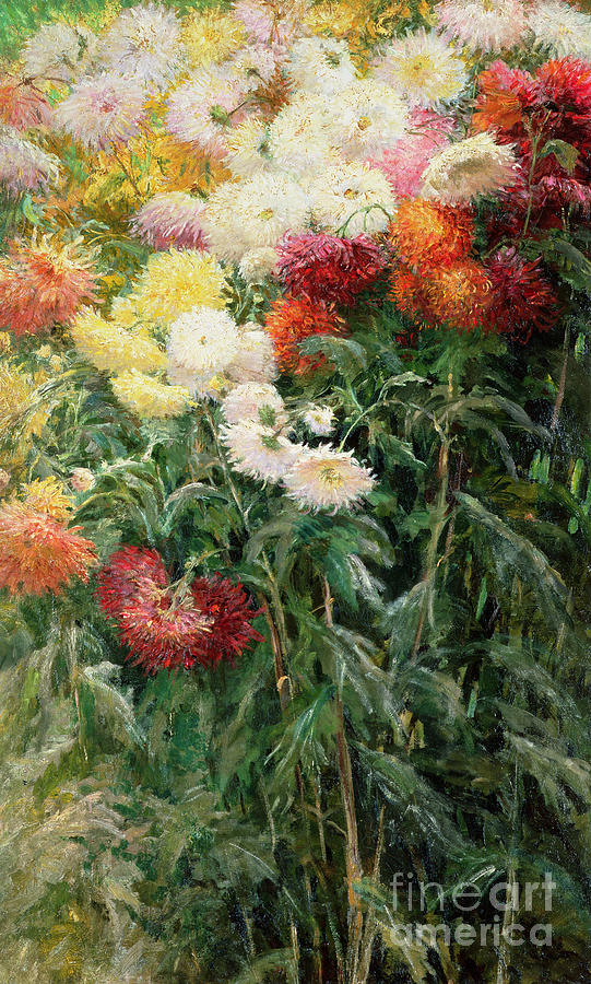 Clump of Chrysanthemums, Garden at Petit Gennevilliers, 1893 Painting by Gustave Caillebotte