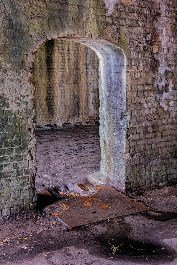 Cluskeys Vault Savannah Photograph by Tom Singleton