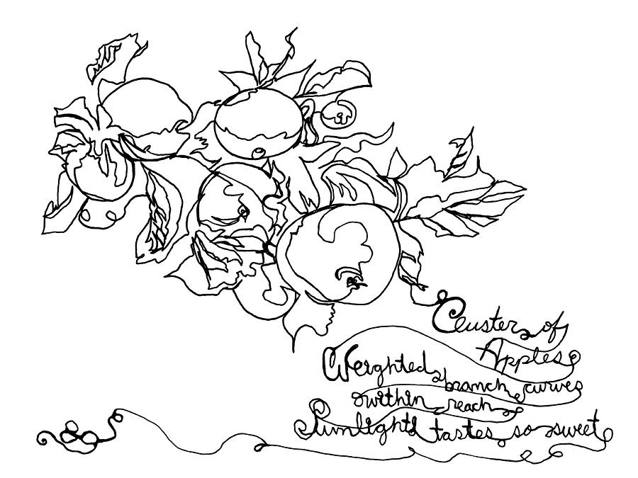 Cluster of Apples - Contour line and Haiku Drawing by Katherine Nutt