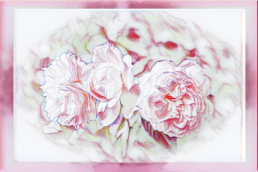Cluster of Bolero Roses Photograph by Diane Lindon Coy