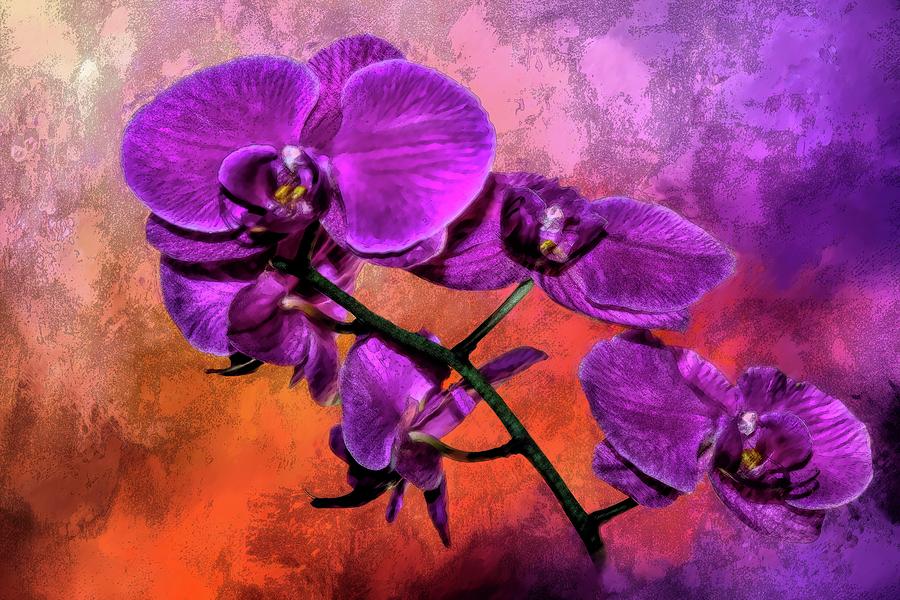 Cluster Of Purple Orchids On Abstract Background I Digital Art