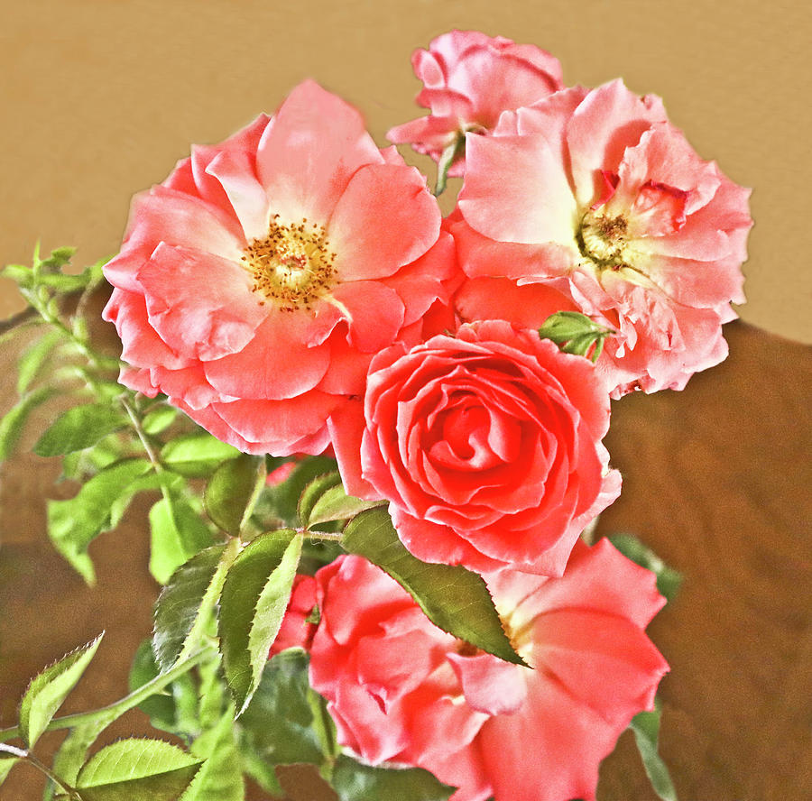 Cluster Rose Bouquet Photograph