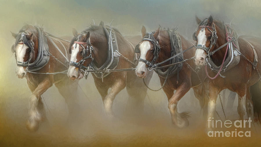 Clydesdale Four Digital Art by Trudi Simmonds