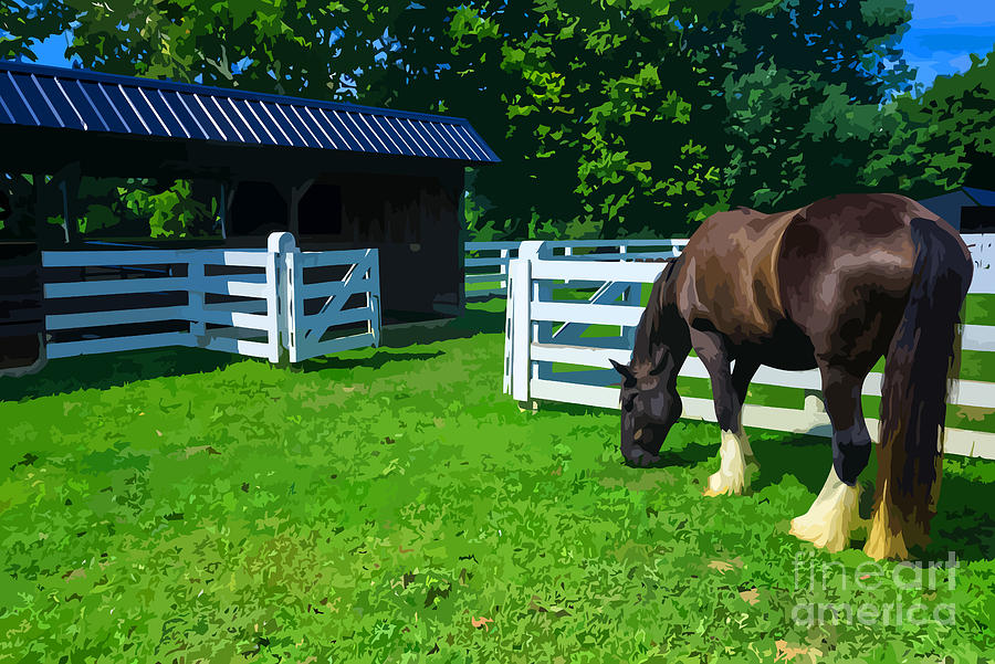 Clydesdale Horse Grazing  - Shakertown - Kentucky Photograph by Gary Whitton