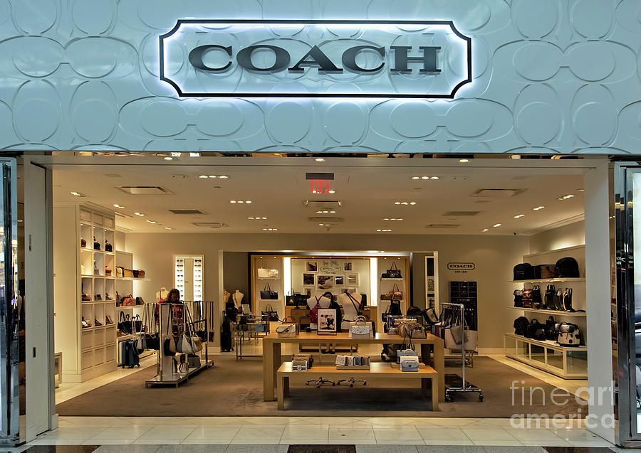 Coach Store at the Canal of Shoppes at The Venetian Hotel and Casi Photograph by David Oppenheimer