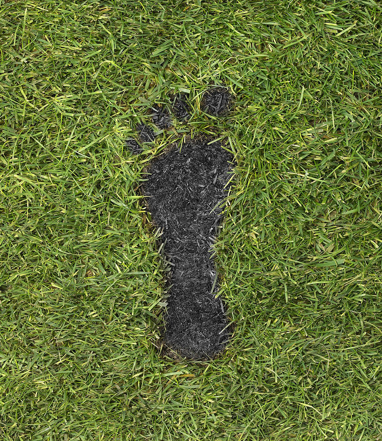 Coal footprint on grass Photograph by Dougal Waters