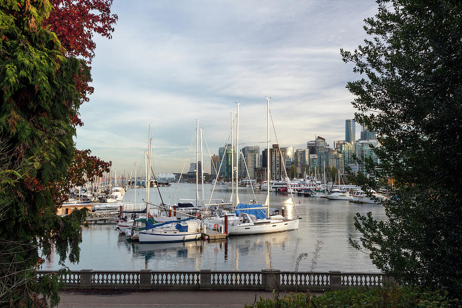 Coal Harbour View Photograph by Michael Russell