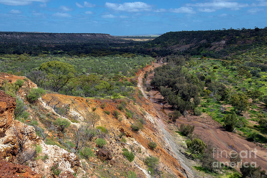 Coalseam Conservation Park, Nengatty, Western Australia Photograph by Elaine Teague