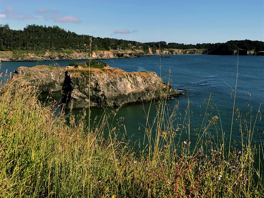 Coast of Mendocino Photograph by Elizabeth Overton - Fine Art America