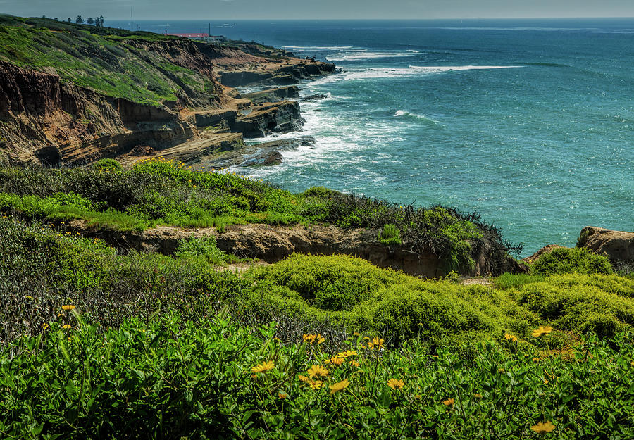 Coast of Point Loma Peninsula by San Diego Photograph by Randall Nyhof