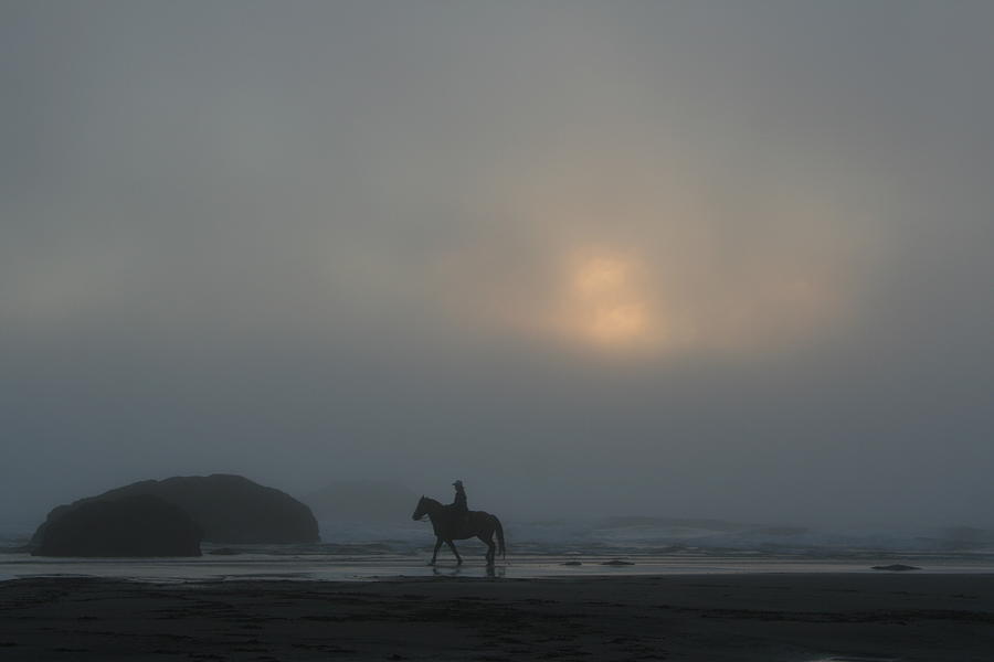 Coastal Amble Photograph by Dylan Punke
