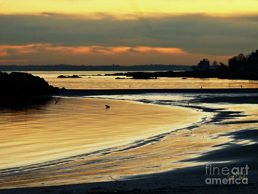 Coastal Seascape Golden light Sunset Beauty Photograph by Carol F Austin