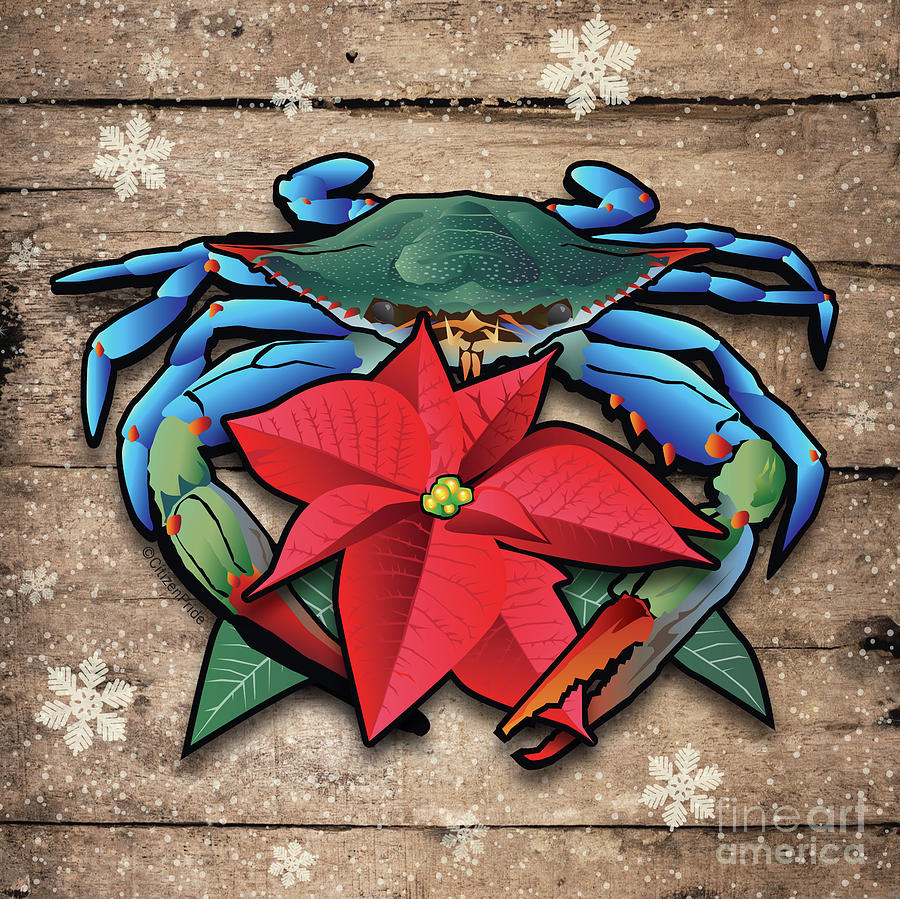 Coastal Blue Crab Poinsettia Digital Art