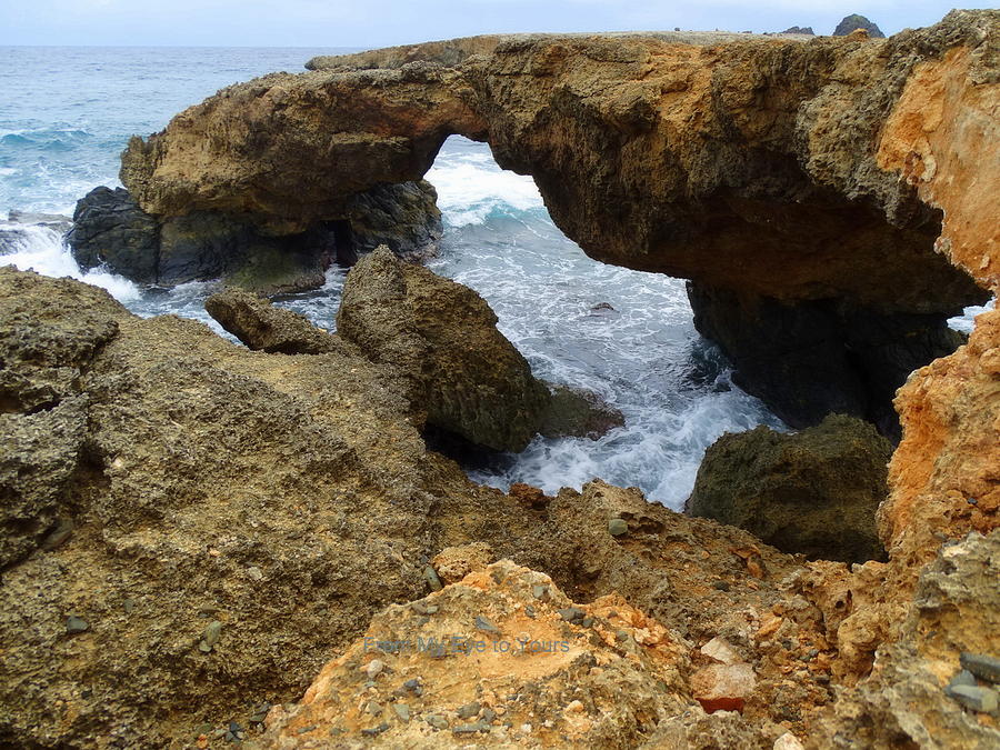 Coastal Bridges Photograph by Veronica Henson | Fine Art America