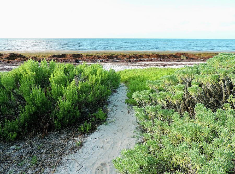 Coastal Camping Photograph by Leesie Annie Designs - Fine Art America