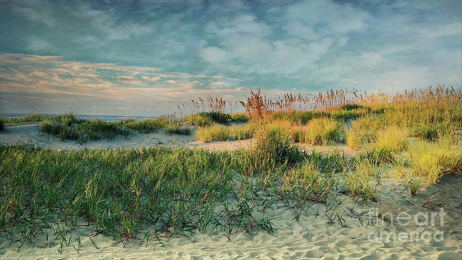 Coastal Dreams Photograph by Terry Rowe