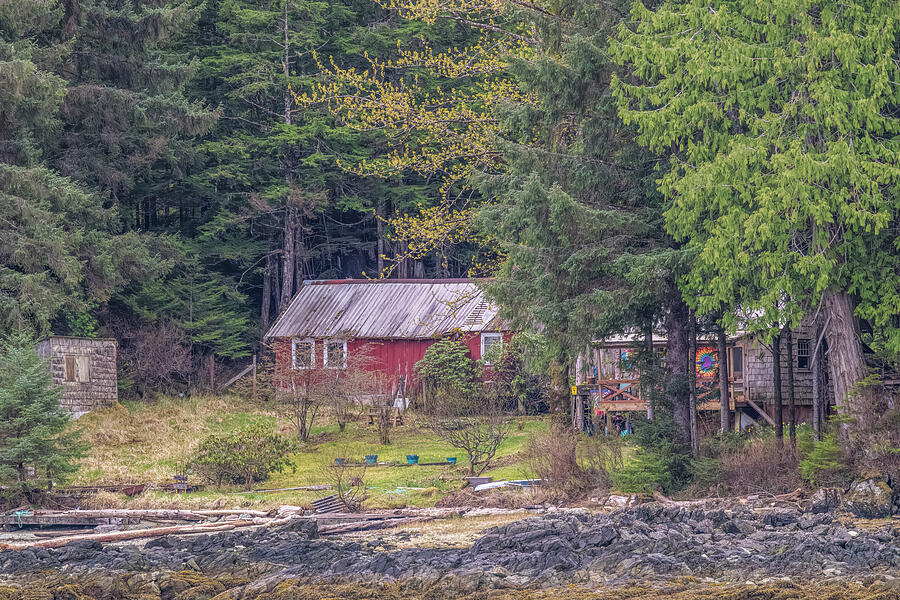 Coastal Forest Cabins Photograph by Bill Posner Coastal Forest Cabins Photograph by Bill Posner