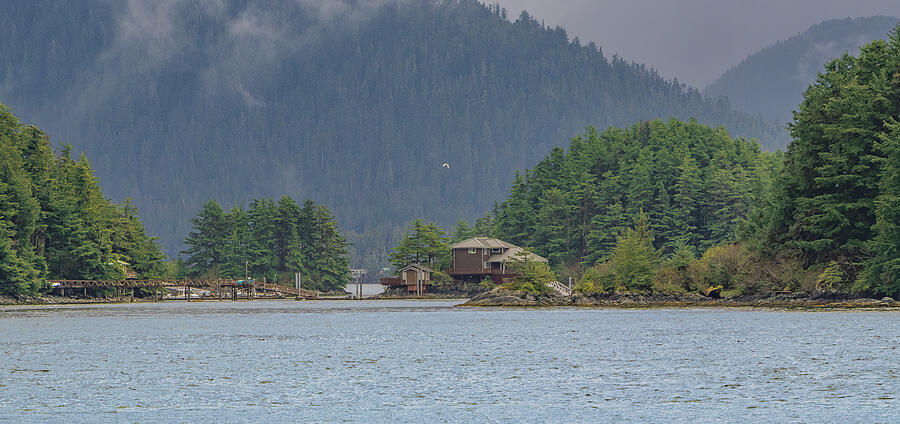Coastal Forest Retreat Photograph by Bill Posner Coastal Forest Retreat Photograph by Bill Posner
