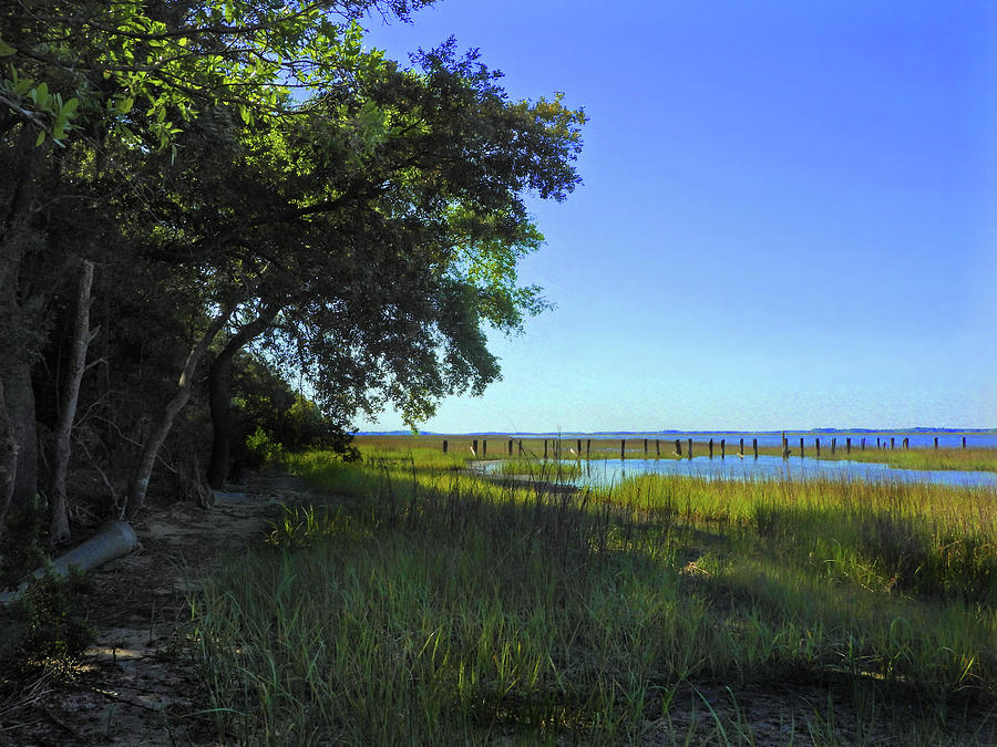 Coastal Georgia Spring Photograph by Laura Ragland - Fine Art America