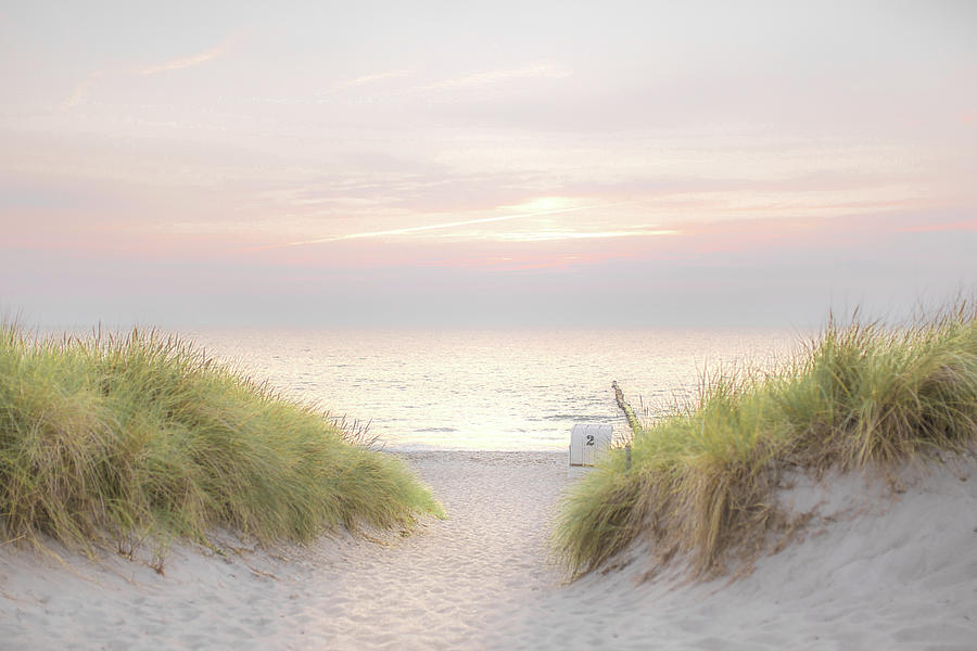 Coastal Grass #3 Photograph by David Wilkins