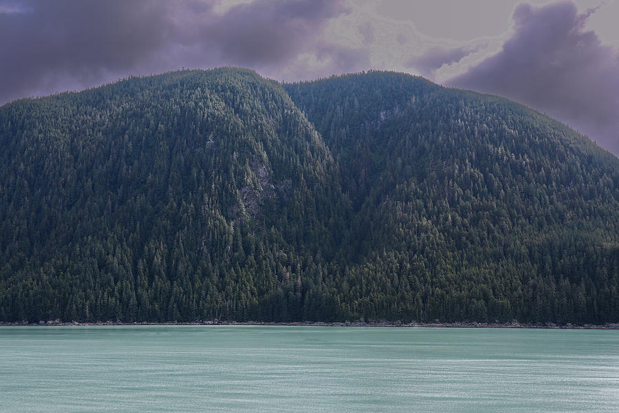 Coastal Juneau Mountains Photograph by Ed Williams