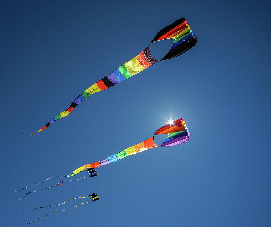 Coastal Kites Photograph by Doug Davidson