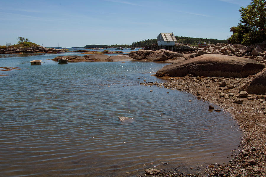 Coastal Maine 7 Photograph by Mike McGlothlen