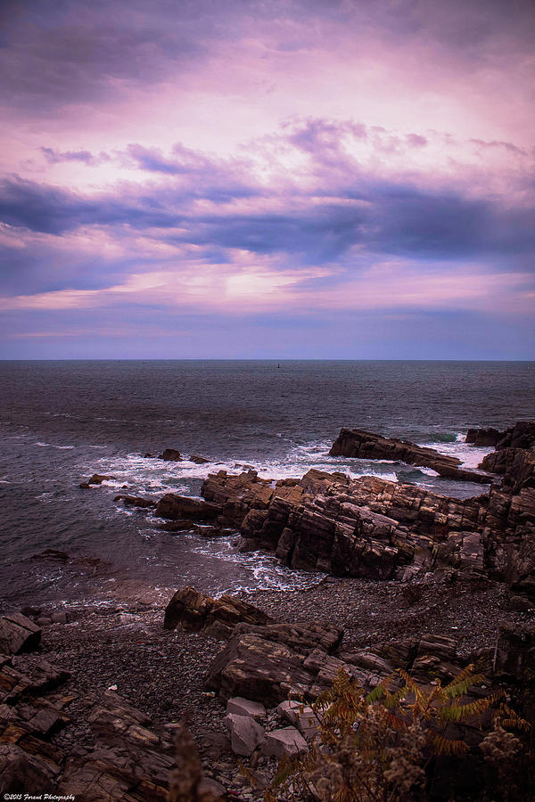 Coastal Maine  Photograph by Debra Forand