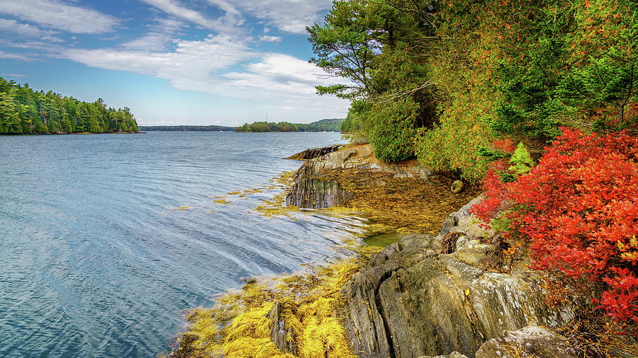 Coastal Maine in fall Photograph by Alexey Stiop