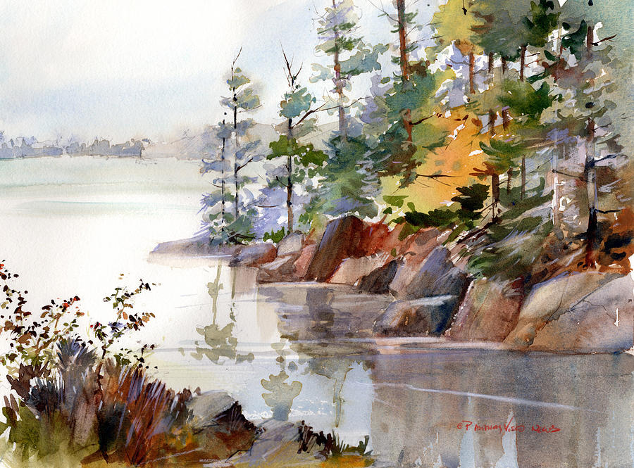 Coastal Maine Painting by P Anthony Visco