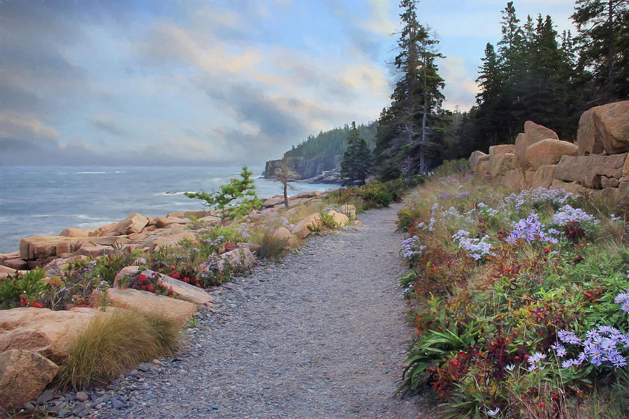 Acadia National Park Mixed Media - Coastal Meandering by Lori Deiter
