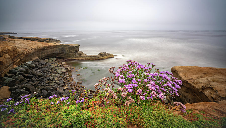 Coastal Mist 6 Photograph by Ryan Weddle
