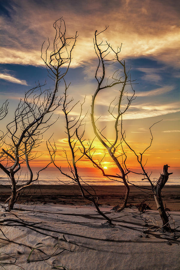 Coastal Ocean Sunrise 606 Photograph by Dan Carmichael