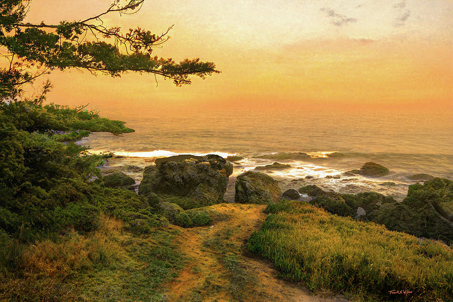 Coastal Path D Digital Art by Frank Wilson